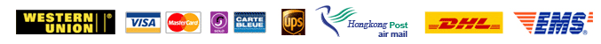 western union,visa,master card